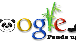 Google Panda Versiyon