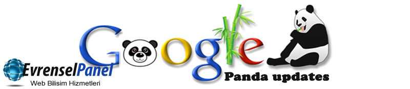Google Panda Versiyon