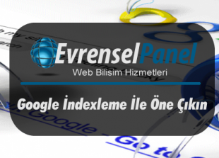 Google indexleme ile on sayfalara cikin