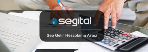 seo gelir hesaplama araci