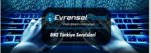 dns turkiye servisleri, dns adresleri